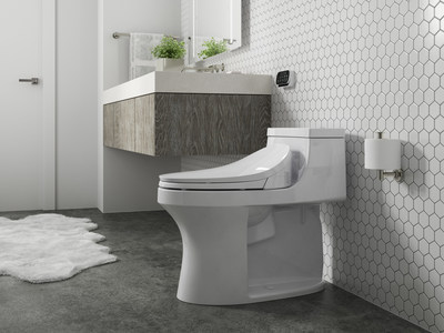 C³®-230 Elongated bidet toilet seat