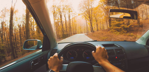 Watch out for driving hazards during the fall season.