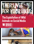 New Born Free USA Report Reveals the Abuse and Exploitation of Wild Animals on Social Media