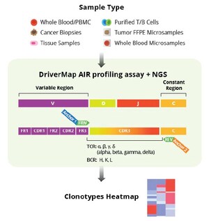 Cellecta, Inc. Launches DriverMap™ Adaptive Immune Receptor (AIR) TCR and BCR Kits for Comprehensive Immune Repertoire Profiling