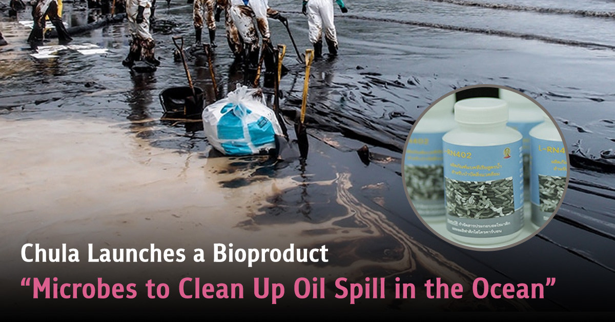 Chula Launches a Bioproduct "Microbes to Clean Up Oil Spill in the Ocean"
