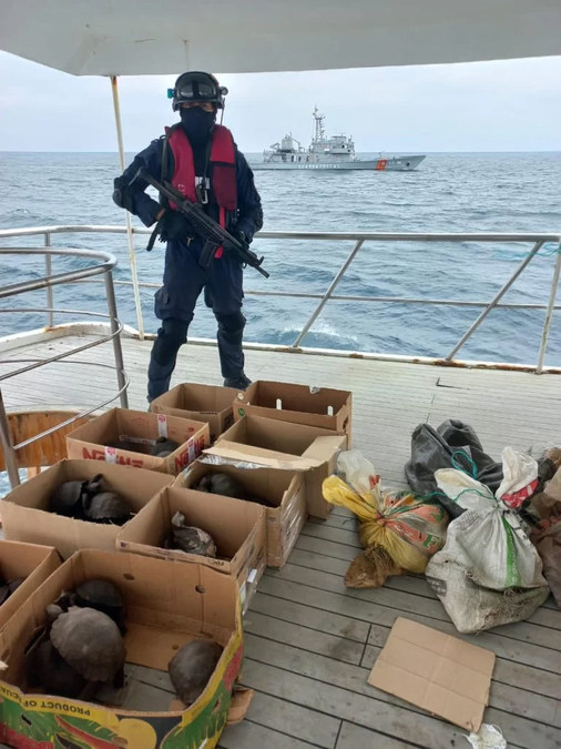Traffickers of Galápagos Wildlife Receive Jail Sentence for Smuggling Attempt - Vimarsana News