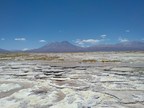 MONUMENTAL MINERALS CORP. ENTERS INTO DEFINITIVE OPTION AGREEMENT WITH LITHIUM CHILE TO ACQUIRE 50.01% OF THE SALAR DE TURI PROJECT IN THE LITHIUM TRIANGLE, CHILE