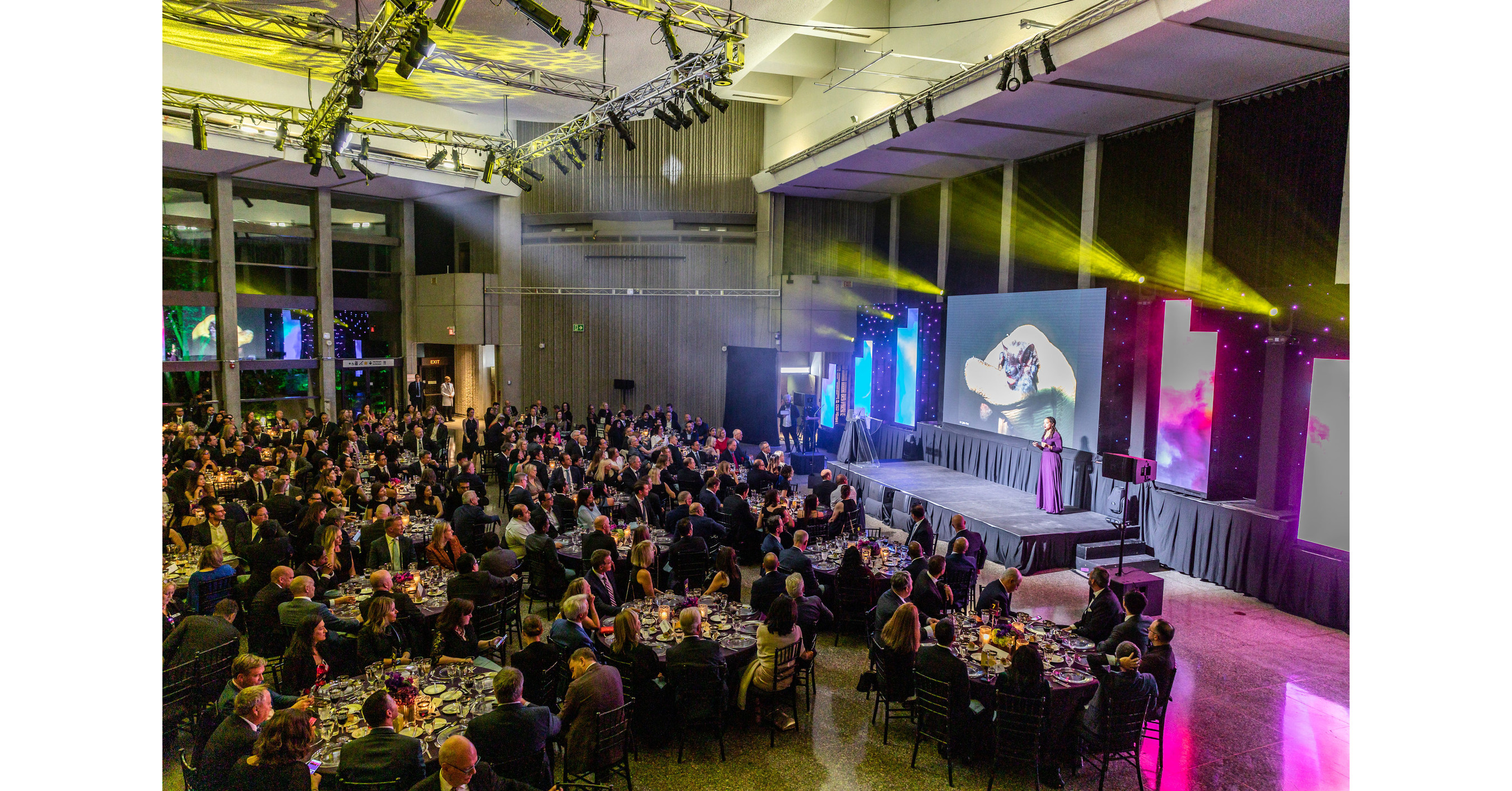 Ontario Science Centre's annual RBC Innovators Ball raises over