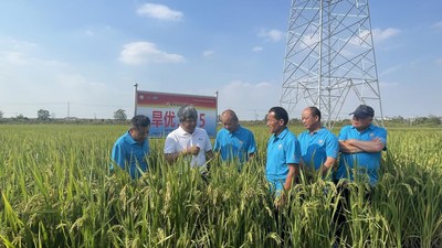 Photo shows that agricultural expert is introducing water-saving and drought-resistant rice to event participants.