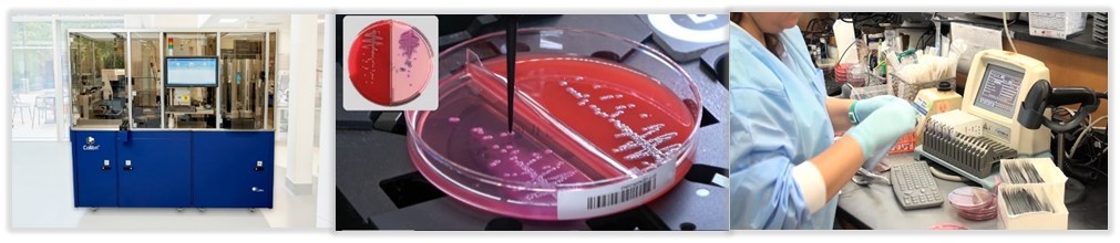 Colibrí™, COPAN's Automated Specimen Workup Instrument, Receives FDA 510(k) Clearance for use with bioMérieux VITEK® 2 Antimicrobial Susceptibility Testing (AST) System - Vimarsana News