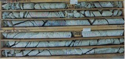 Image 1: WI22-68 Visibly Coarse-grained REE Mineralization Within Interval Grading 6.70% TREO Over 18 Metres (CNW Group/Defense Metals Corp.)