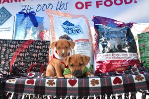 Blue Buffalo Home 4 the Holidays Gift Nourishes Hearts and Tummies