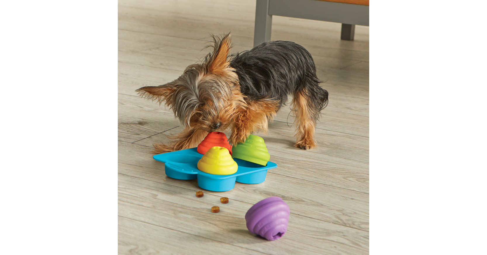 BRIGHTKINS Pooch School! Training Set Dog Toys 