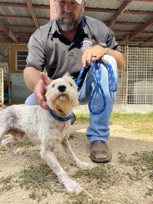 Humane Society of Missouri's Animal Cruelty Task Force Returns to One