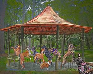 Carl Bistrack Proves Dogs Can Dance