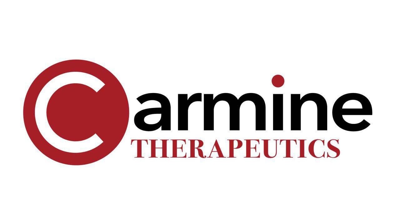 Carmine Therapeutics Announces First Close of Series A to Develop Next generation, Non-viral gene therapy