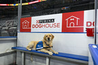 Purina and St. Louis Blues Unveil 'Purina Doghouse' Penalty Box For 2022-2023 Season