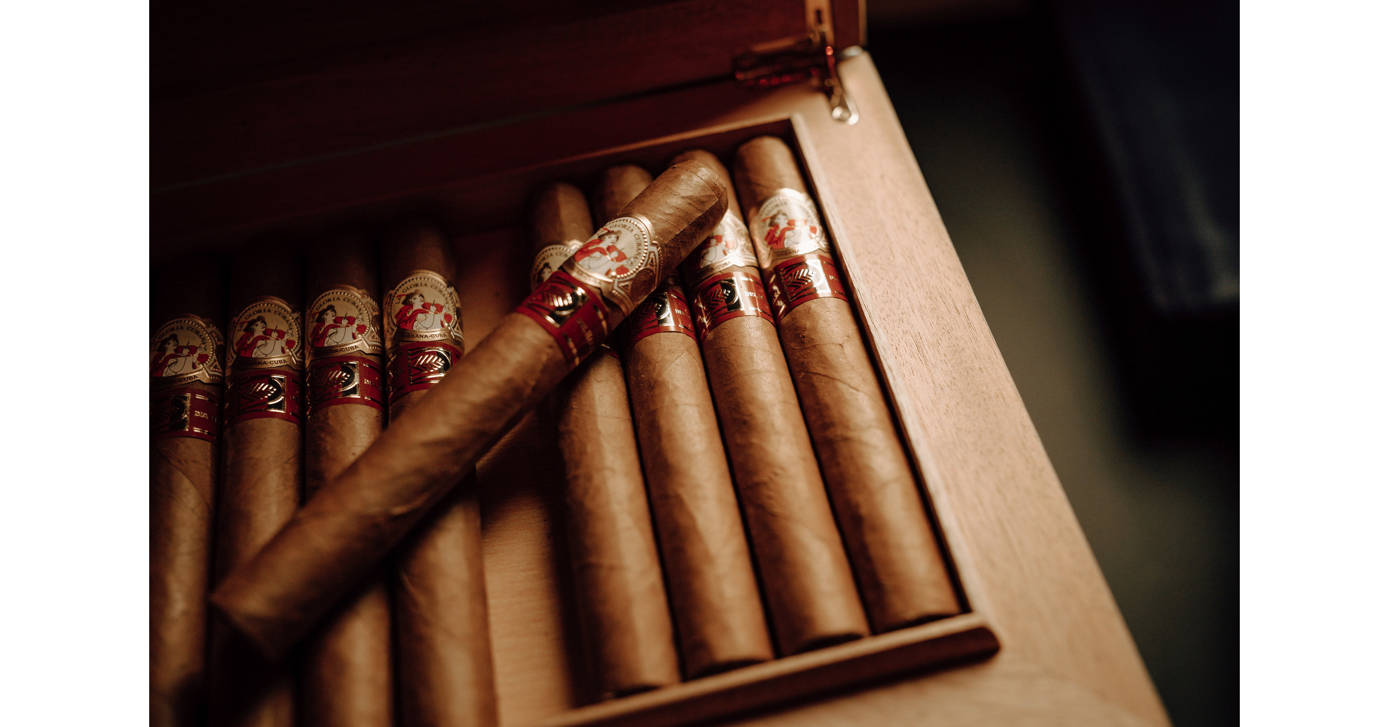 HABANOS, S.A. PR&Auml;SENTIERT DIE NEUE VITOLA LA GLORIA CUBANA GLORIAS IN DEN BENELUX-L&Auml;NDERN