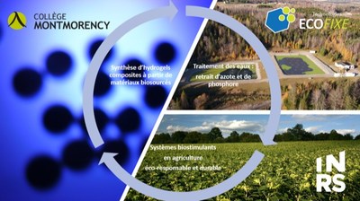 Le Collge Montmorency et l'INRS sont fiers de contribuer  l'essor d'une agriculture durable et circulaire (Groupe CNW/Institut National de la recherche scientifique (INRS))