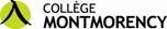Logo Collge Montmorency (Groupe CNW/Institut National de la recherche scientifique (INRS))