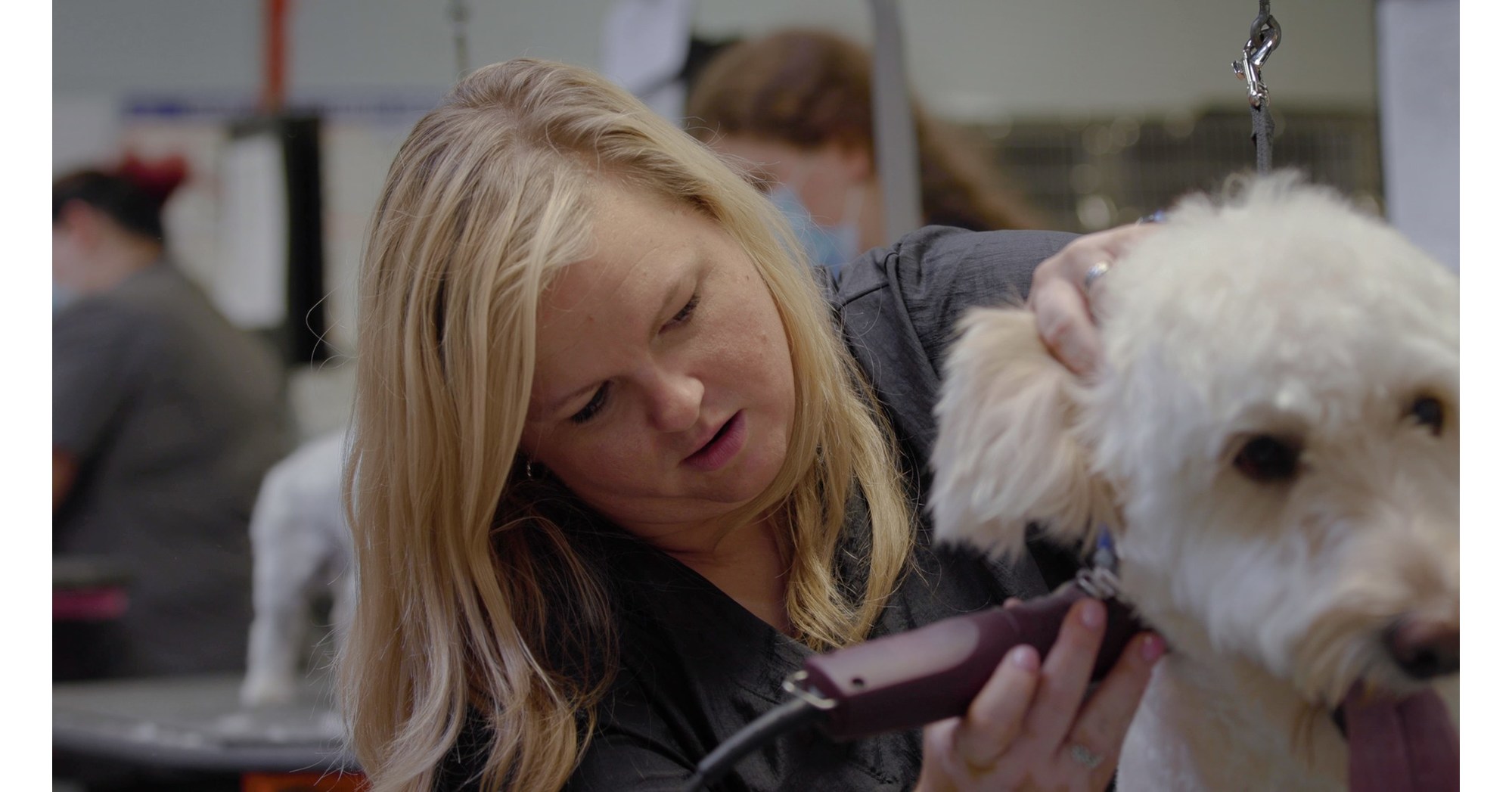 Andis® Company Creator Series Celebrates LifeChanging Work of the