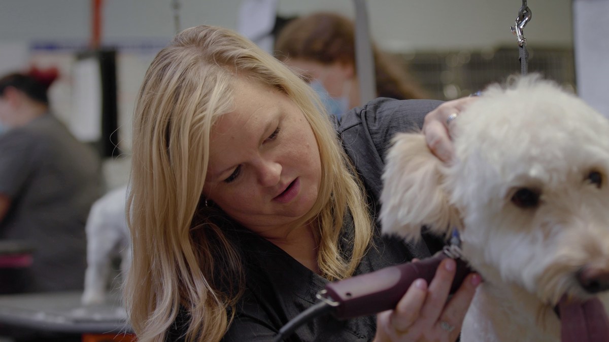 Andis® Company Creator Series Celebrates Life-Changing Work of the Grooming Project - Vimarsana News