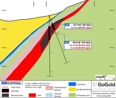 Figure 2: Eagle – Cross Section Holes 30,31 (CNW Group/GoGold Resources Inc.)
