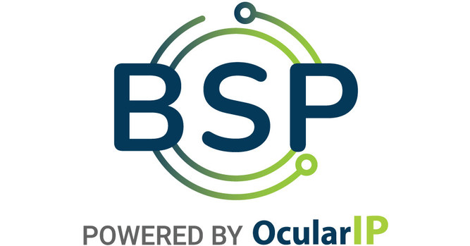 LB Networks Launches the Business Service Portal, Powered by OcularIP