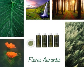 The Flores Aurantii collection represents life and the gifts of mother nature. Beauty exists in more than just sight. Guests preserve a piece of mother nature with touch and smell.
