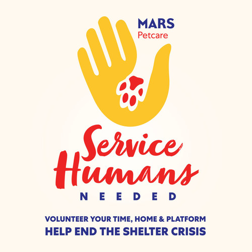 Mars Petcare Service Humans Needs startete das bisher größte Freiwilligenprogramm für Tierheime, um die dringende Krise in Tierheimen in ganz Nordamerika anzugehen.