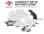Return of the rodents to urban areas as Canadian cities emerge from the pandemic