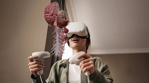 BodyMap, the VR solution   for quality  anatomy, developed by MAI