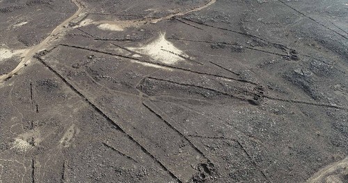 Aerial view of a kite in the Khaybar area of north-west Saudi Arabia. These ancient hunting structures were named ‘kites’ by aviators in the 1920s because, observed from above, their form is reminiscent of old-fashioned child’s kites with streamers. (Diaa Albukaai and Kévin Guadagnini, Khaybar Longue Durée Archaeological Project, RCU-Afalula-CNRS)