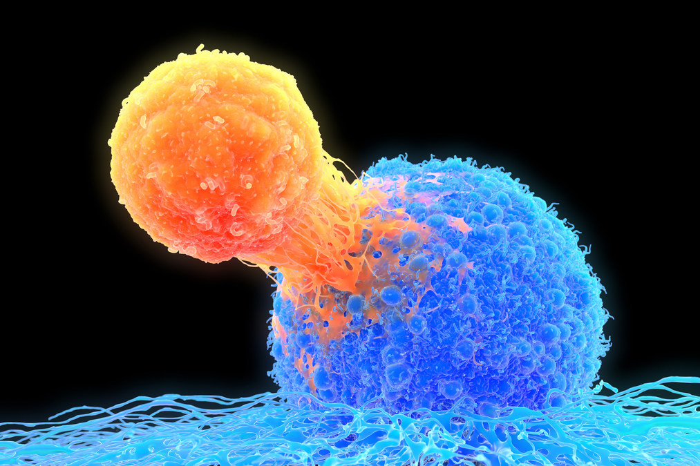 T-cells treated by Turn Biotechnologies show increased cancer-killing effectiveness - Vimarsana News