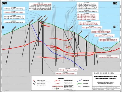 Figure 3 – Longitudinal Section (CNW Group/Mako Mining Corp.)