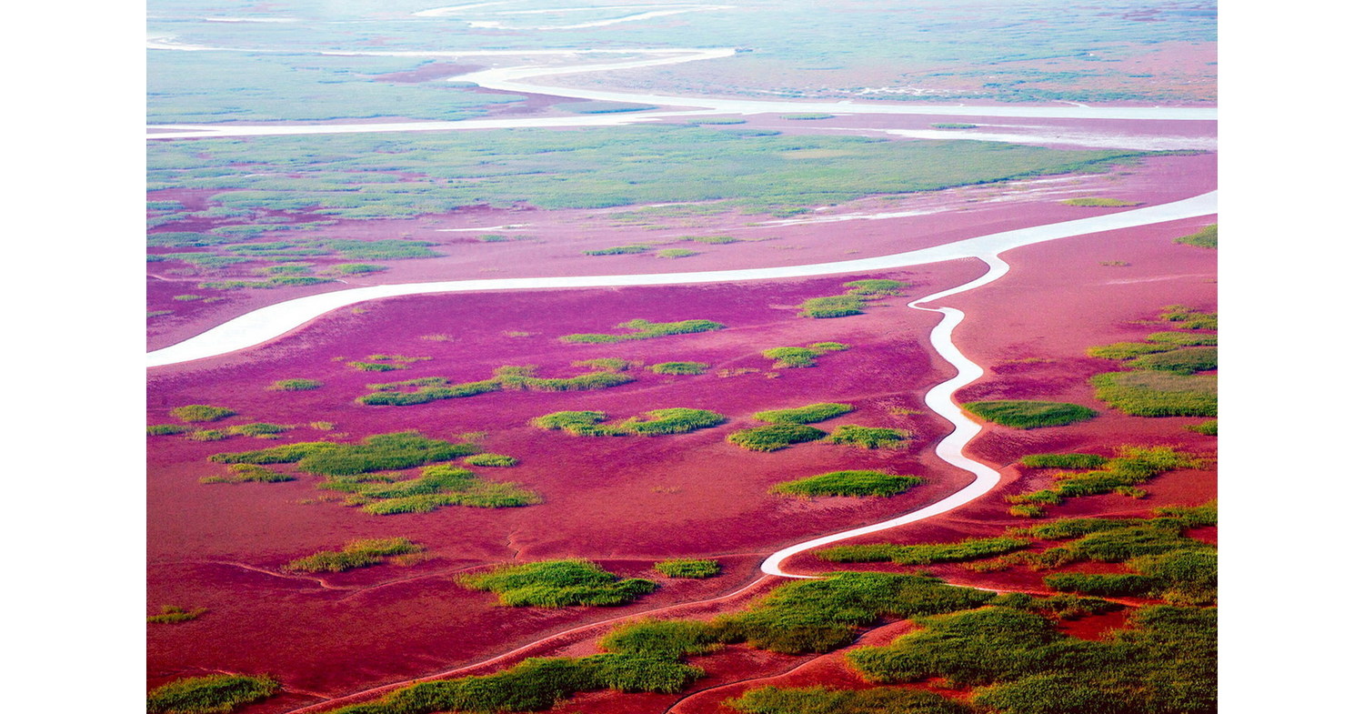 Dongying, Cina: un esempio e un punto di riferimento per la protezione e la governance ecologica