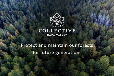 Proceeds from the 2022 Collective Napa Valley Vintage Celebration will go toward protecting the Napa community by meaningfully addressing the most urgent wildfire and environmental stewardship efforts: Fire Prevention, Mitigation & Restoration.