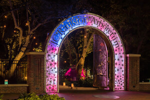 Magical Lighting Exhibition Illuminates NC State University Arboretum