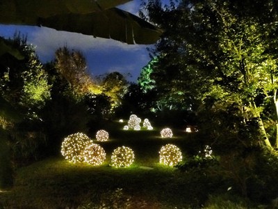 Moonlight in the Garden - Nov. 8-19, 2022 - JC Raulston Arboretum - North Carolina State University - Raleigh, North Carolina