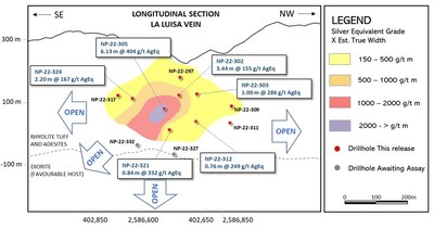 Figure 2: Longitudinal section of the La Luisa Vein. The section is inclined along the dip of the structure. (CNW Group/Vizsla Silver Corp.)