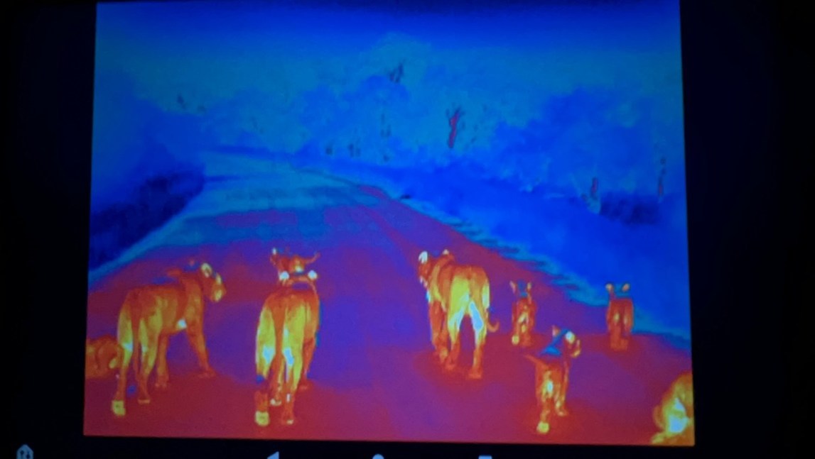 NightRide Thermal is Honored to Partner with World-Renowned Eco Defense Group in Support of its Vital Mission to Protect Endangered African Wildlife - Vimarsana News