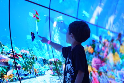 A student finds his fish swimming in LG’s OLED Aquarium.