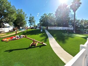 Vibrant Artificial Grass Creates an Oasis for the Whole Family