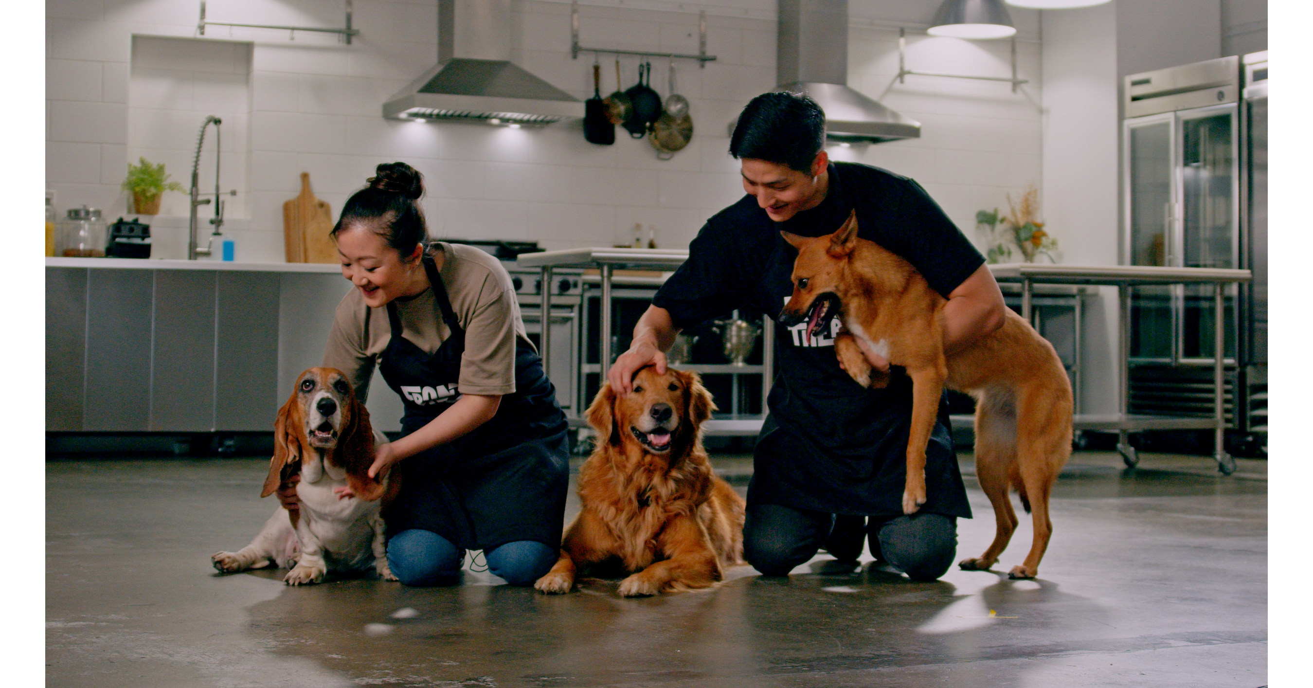 Front of the Pack Raises The Bar on Dog Food Ingredients With Help from