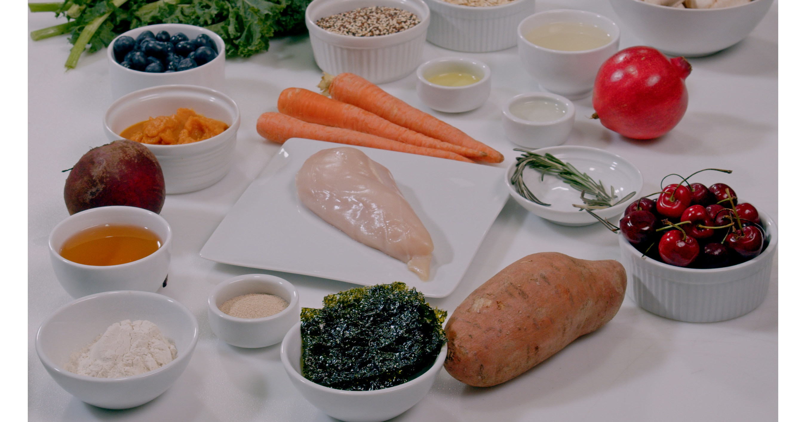 Front of the Pack Raises The Bar on Dog Food Ingredients With Help from