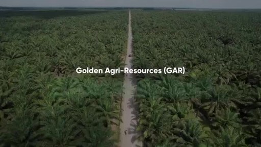 Golden Agri-Resources presenta Sawit Terampil para mejorar las prácticas agrícolas