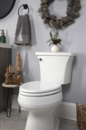 The Holidays Are Coming - Update Your Guest Bath With an Amazon-Rated 5-Star Seat