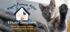 The ARM & HAMMER™ Feline Generous Program Kicks Off National Campaign to Celebrate Purrfectly Impurrfect Cats Living "Happily Furever After" and a Chance for Five Eligible Shelters to Win $10,000 Each