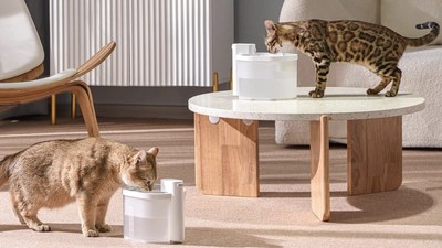 Uahpet Wireless Cat Water Fountain