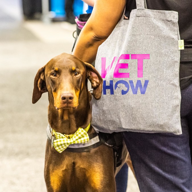 Pawsome! Veterinary Conference New York Vet Returns to the Big Apple November 2 - Vimarsana News