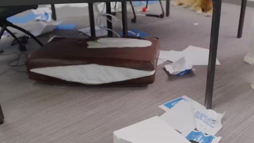 OREO THINS and Microsoft 365 Make a Film about Dogs and Office Life. Wait, what??
