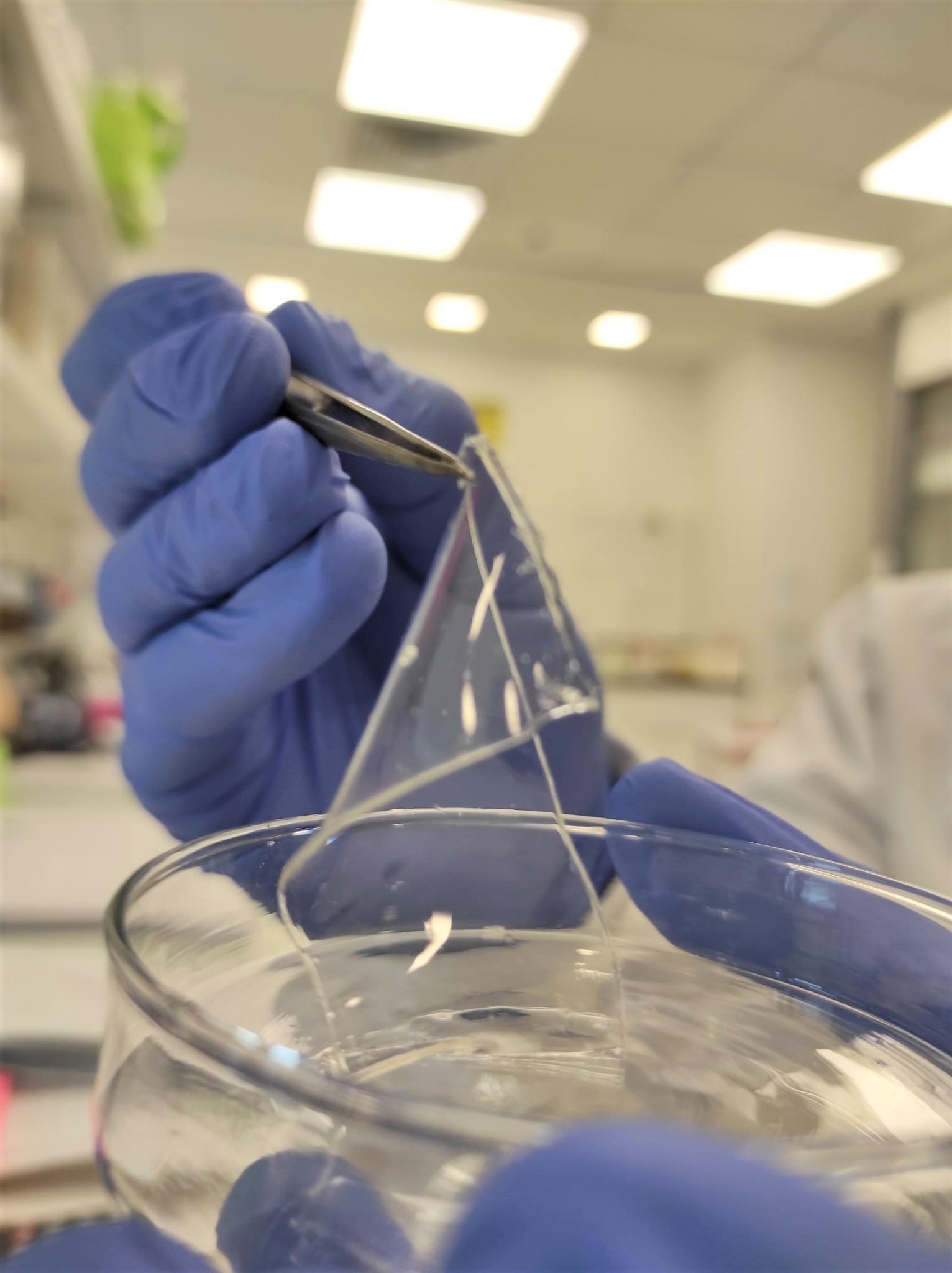 Unable to view the image, Please provide a valid URL.