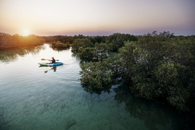 Experience the serenity of Jubail Island's sprawling mangroves