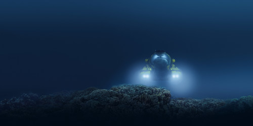 La exposición "Unseen Oceans", que se inaugura el 18 de noviembre en el Museo de Naturaleza y Ciencia de Denver, lo lleva desde la superficie del mar hasta sus profundidades para descubrir cómo los científicos y la tecnología conservan los ecosistemas submarinos y sus asombrosos habitantes, entre los que se incluyen criaturas alienígenas, peces que brillan en la oscuridad y depredadores transparentes. Fotografía cortesía del Museo Americano de Historia Natural.